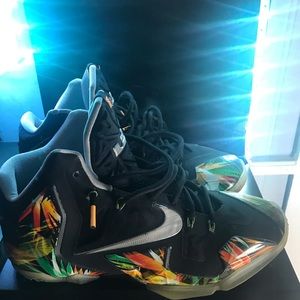Nike Lebron 11 Everglades
